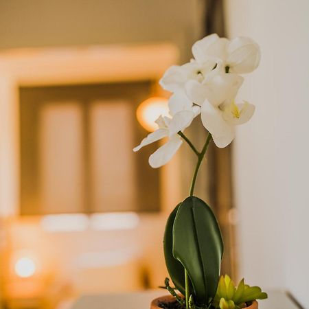 Green Apartment Ground Floor Feel Like Home Properties Saronida 외부 사진