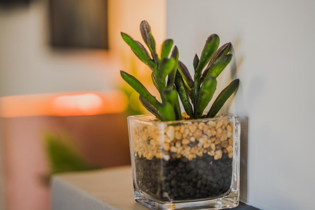 Green Apartment Ground Floor Feel Like Home Properties Saronida 외부 사진